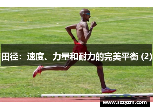 田径：速度、力量和耐力的完美平衡 (2)